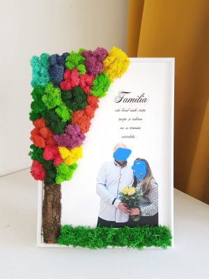 Tablou cu licheni Familie, Fotografie.