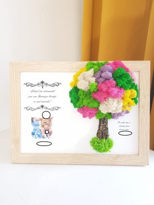 Tablou cu licheni personalizat pentru Doctor